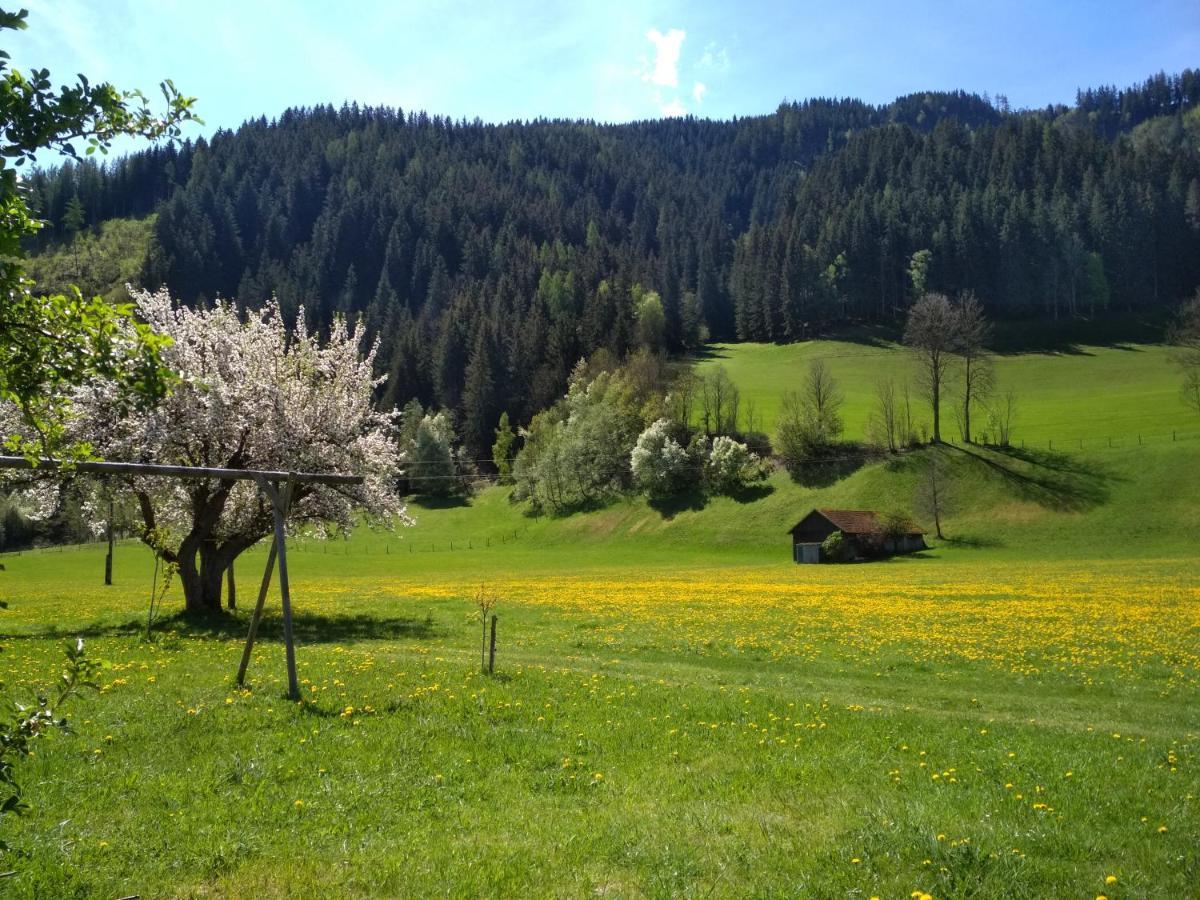 Gaestehaus Blonbauer *