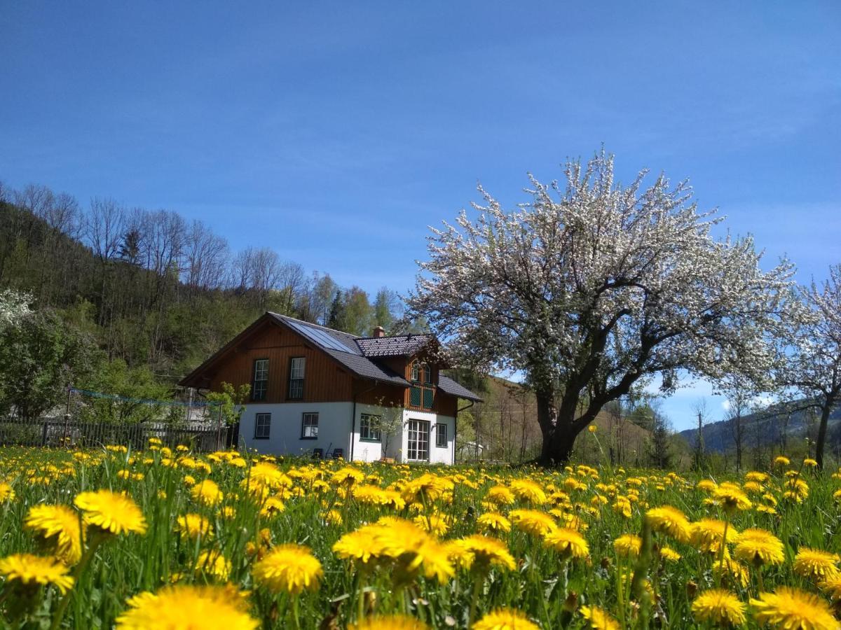 Ubytování v soukromí Gaestehaus Blonbauer *